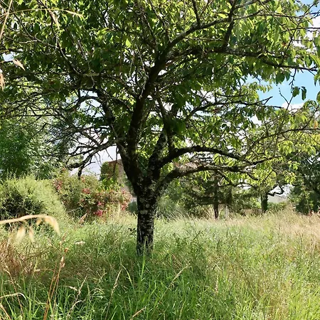 - Calme & Confort - Jardin Barbecue - Parking Et Wifi Gratuit - Espace Et Detente - Ideal Famille