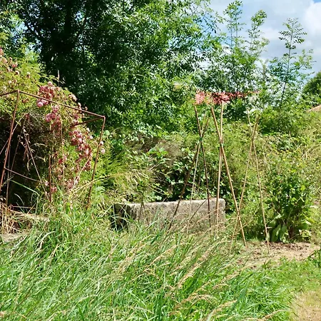 - Calme & Confort - Jardin Barbecue - Parking Et Wifi Gratuit - Espace Et Detente - Ideal Famille Saint-Saturnin-du-Bois