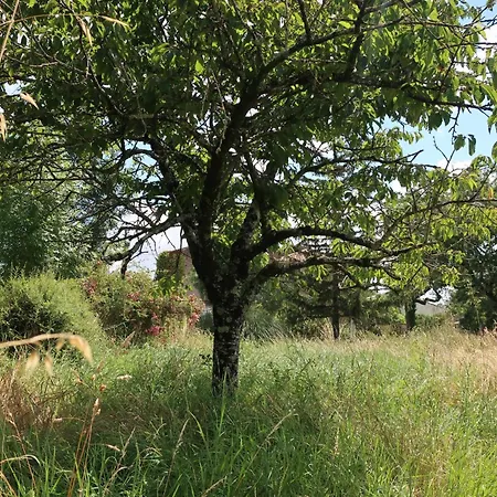 Holiday home La Grande Lignatte Heart Of Aunis *