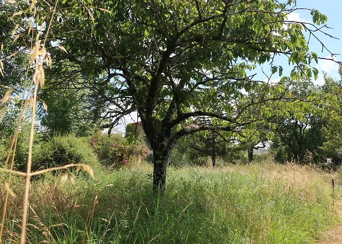 Holiday home La Grande Lignatte Heart Of Aunis *