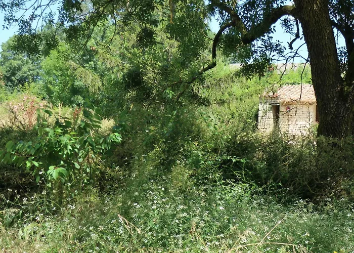 La Grande Lignatte Heart Of Aunis Holiday home Saint-Saturnin-du-Bois